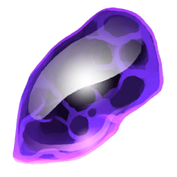 Essence of the Starry Sky